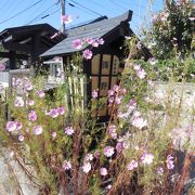 「日本の道百選」、「重要伝統的建造物群保存地区」に選定された「北国街道」の宿駅です！