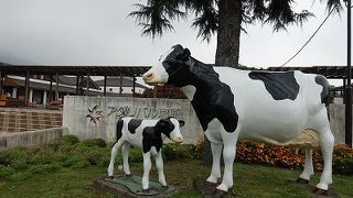 だいたい混んでいる