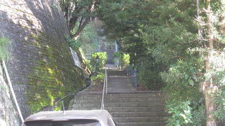 楽しいけど、大変！！！