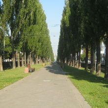 気持ちのいい通りです。