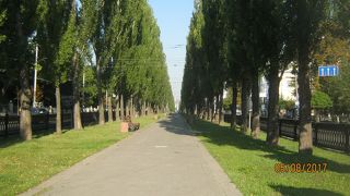 キエフの町の西から東に通り大通りです。