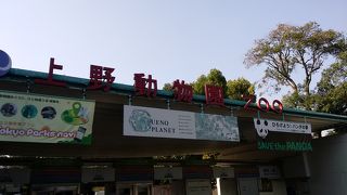 パンダのいる動物園