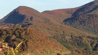 期待を裏切らない紅葉スポット