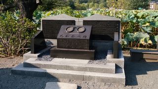 徳川家康の愛用していた眼鏡