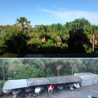 客室からの眺め（川側）。川は見えないが、船着場はすぐ近く。