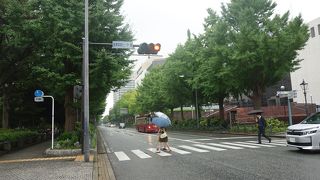 並木道が美しい