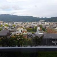 部屋からの眺め