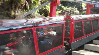 シーニックレールウェイは迫力がある