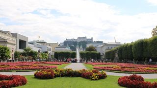 色とりどりの花