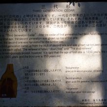 杉のそばに看板があるのでわかりやすいです