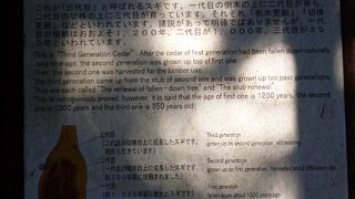 自然のすごさを感じます