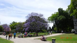 アルフォンソ・デ・アルブケルケ庭園の西側にある庭園