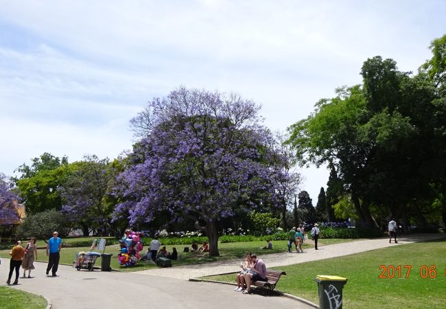 アルフォンソ・デ・アルブケルケ庭園の西側にある庭園
