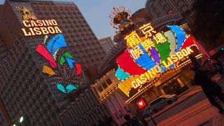 ライトアップされた頃が。