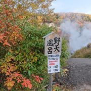 露天風呂というより野天風呂