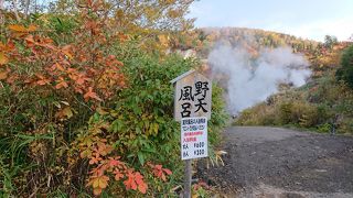 露天風呂というより野天風呂