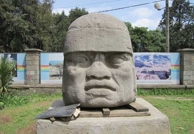 エチオピア国立博物館 クチコミ・アクセス・営業時間｜アディス