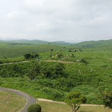展望台からの眺め