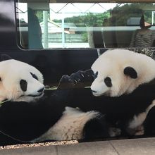 白浜駅に到着したパンダくろしお1号