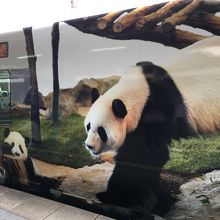 白浜駅に到着したパンダくろしお1号