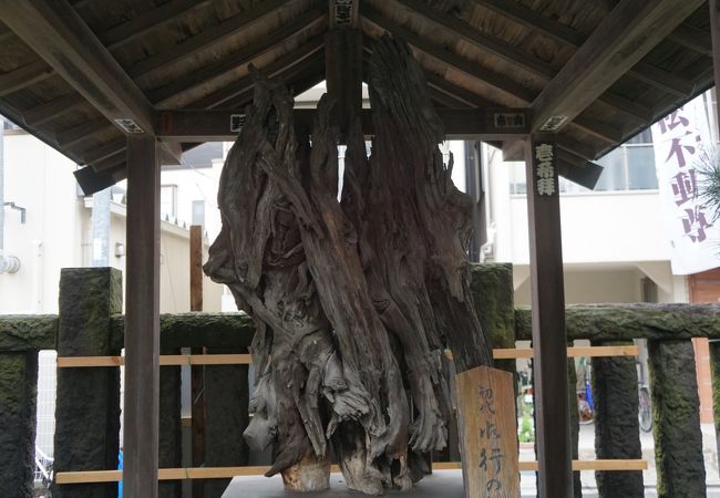 根岸御行の松 西蔵院不動尊 クチコミ アクセス 営業時間 上野 御徒町 フォートラベル