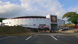 徳之島の闘牛に関する資料館も
