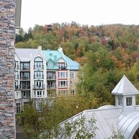 客室からの眺め