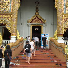 ワット プラシン