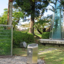 たまたま見つけたという感じ