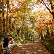 帰りに撮影した参道です。