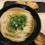 本格的なさぬきうどん