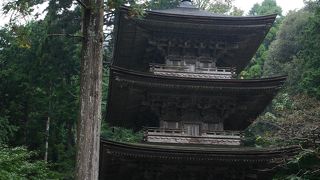 福井で唯一の国宝の建造物が見れます