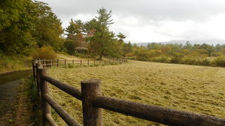 静かでピクニック向け