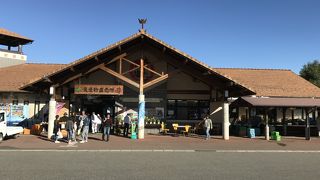 獲れたて野菜が買える農産物直売所