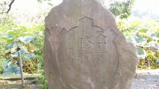 スッポン感謝の塔 