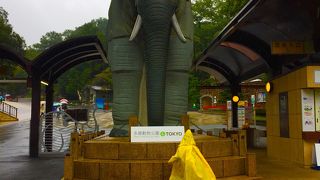 雨の多摩動物園