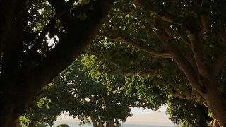 コバルトブルーの抜群の海があるコンドイ浜