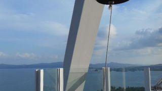 カートに乗って