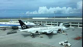 しょぼいです。