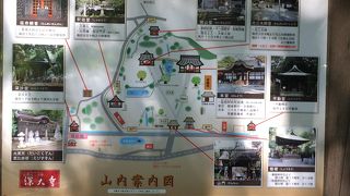 自然豊かな環境です