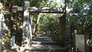 ロープウェイを降りてからの登山