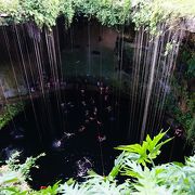 泳いでみました。気持ちよかったです！