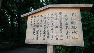 旅行好きな方は是非参拝を！