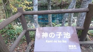 青かったのは一部で角度によって