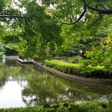 すぐ近くの横浜公園の日本庭園