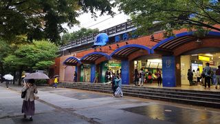 全面的に野球押し