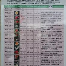 殿堂入りのバラ