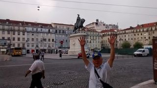 イチジクの木の広場？？？