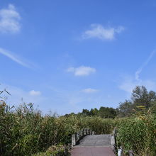湿原に上には空が広がっています。