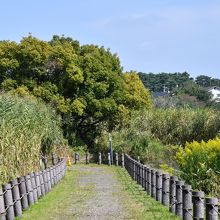 茂林寺からの景色